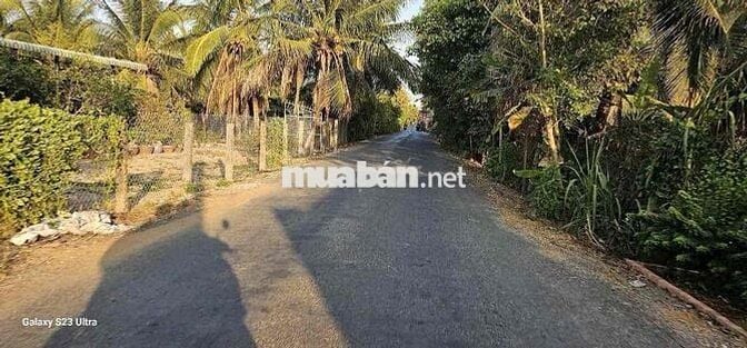 BIỆT THỰ VƯỜN GIÁ RẺ PHAN VĂN MỪOI HAI