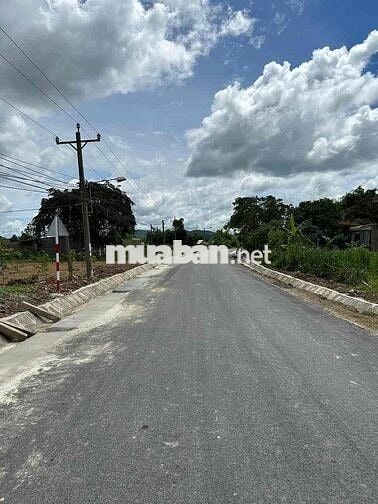 Đất nền vi trí đẹp. thuận lợi cho xây nhà máy, thuê kho trữ sầu riêng