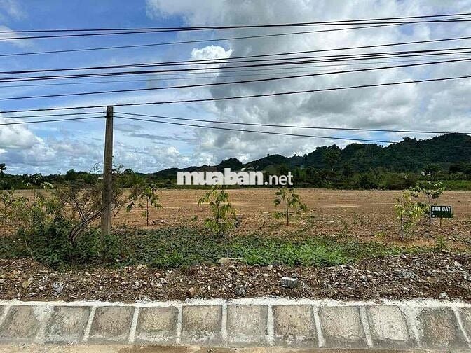 Đất nền vi trí đẹp. thuận lợi cho xây nhà máy, thuê kho trữ sầu riêng