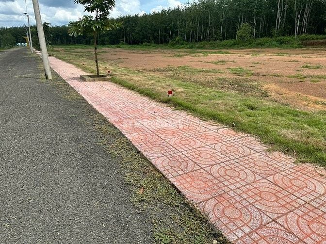 Bán đất tại Đồng Tiến - Bình Phước lô A1, 400 triệu, 230 m2, pháp lý đ