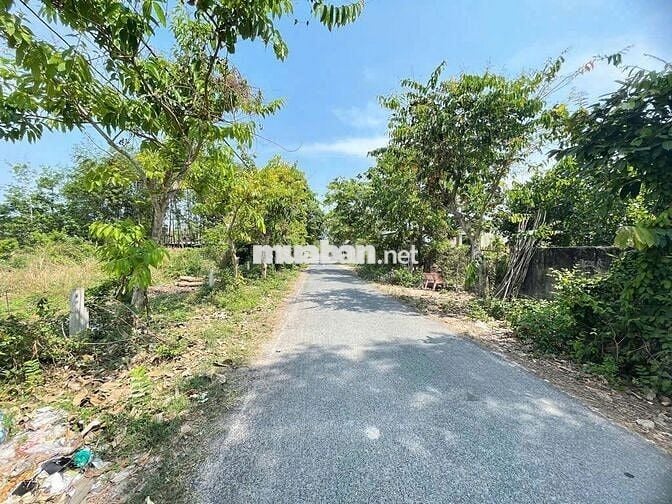 Đất chính chủ, có sổ, 106,5m2 (thổ cư: 83,9m2)