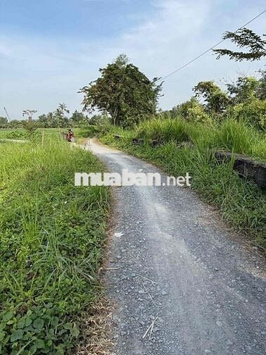 CHÍNH CHỦ BÁN ĐẤT MT CẦU SẬP BÌNH MỸ CỦ CHI