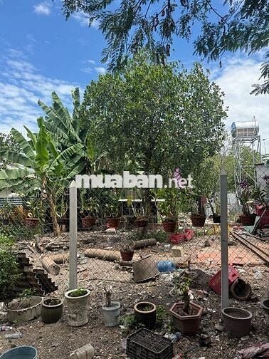 [Bán gấp] đất chính chủ, THỔ CƯ 100% Thị Trấn Củ Chi, HCM, 982m2