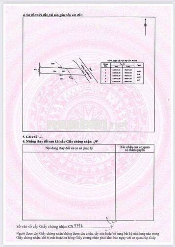 CHÍNH CHỦ BÁN ĐẤT MT CẦU SẬP BÌNH MỸ CỦ CHI