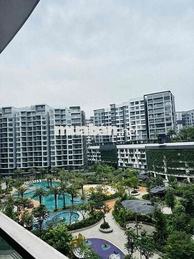 Chuyên cho thuê căn hộ Diamond Centery