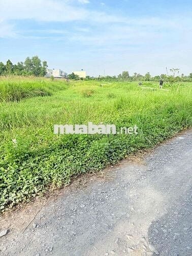 CHÍNH CHỦ BÁN ĐẤT MT CẦU SẬP BÌNH MỸ CỦ CHI