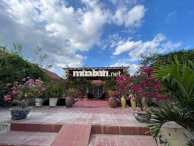 BÁN RESORT VILLA  2,7HA – BẮC TÂN UYÊN,