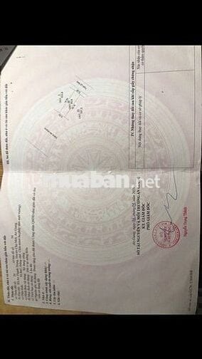 CHÍNH CHỦ CẦN BÁN ĐẤT THỔ CƯ MẶT TIỀN TỈNH LỘ 944