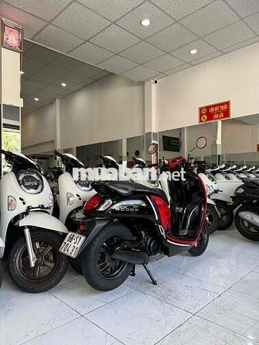 SCOOPY 2021 - Xe Zin - Odo Thấp - Máy Zin Cực Êm