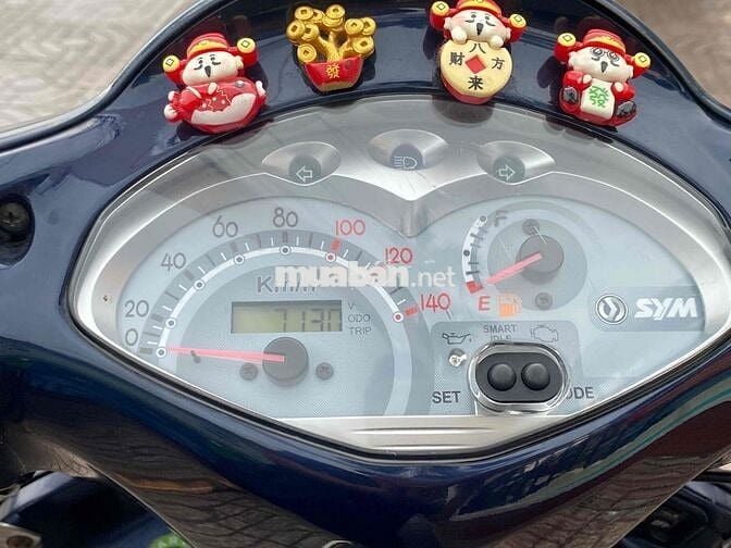 Sym Elizabet Fi 2016