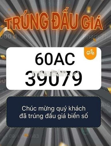 Em Có Sẵn 5 Biển Số Đấu Giá