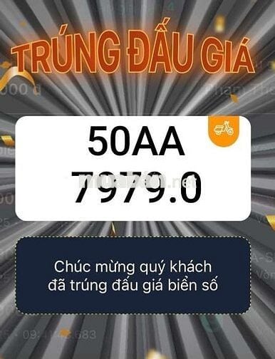 Em Có Sẵn 5 Biển Số Đấu Giá