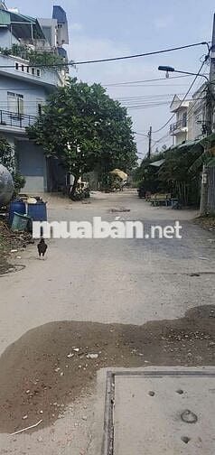 ĐẤT THẠNH XUÂN 52 - P THẠNH XUÂN -Q12 -HẺM 8M -KHU PHÂN LÔ