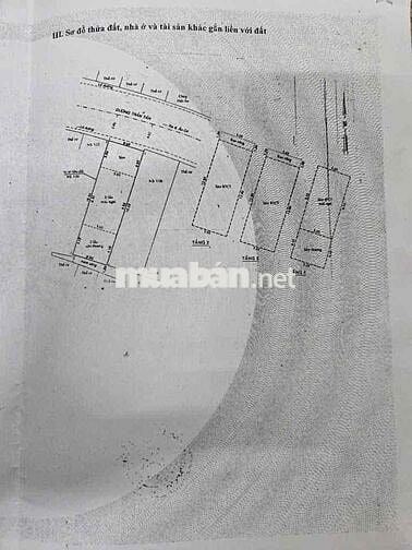 Siêu phẩm 4 mặt tiền vừa ở vừa kd (5m x 17m) Trần Tấn Tân Phú