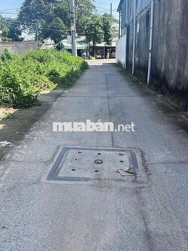 Bán Gấp Lô Đất giá 1Tỷ125 92m2  Đ.Song Hành Xã.Tân Hiệp Hóc Môn