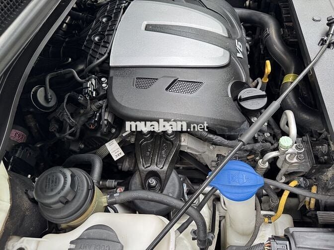 Kia Sedona 2020 Xăng