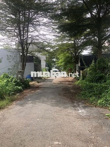 Bán Lô Đất Full Thổ Cư KDC Ven Sông 764 Nguyễn Bình,Nhà Bè.