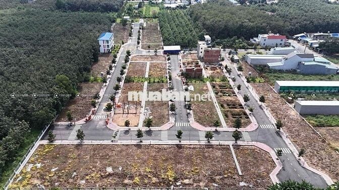 Chủ ngộp 5 Lô ngay Tân Hiệp - HCM