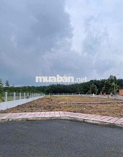 Chủ ngộp 5 Lô ngay Tân Hiệp - HCM