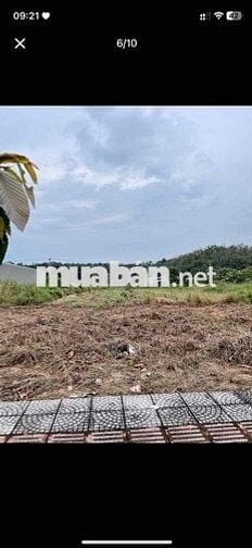 Chủ ngộp 5 Lô ngay Tân Hiệp - HCM