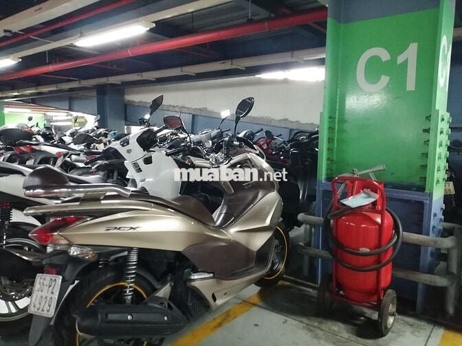Bán Honda PCX 125, 2010, màu vàng cát, Xe Zin 99%