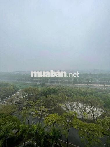 Siêu phẩm 95m² Garden City – View Công Viên & Bể Bơi–Giá Chỉ 6,95 Tỷ!