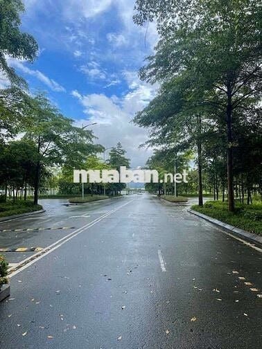 Siêu phẩm 95m² Garden City – View Công Viên & Bể Bơi–Giá Chỉ 6,95 Tỷ!