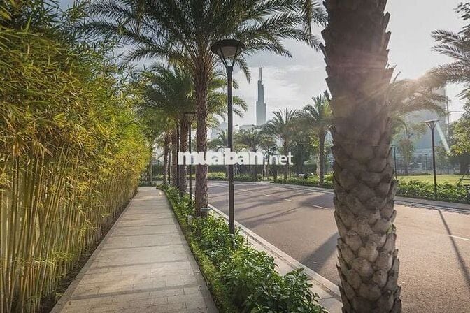 GIỎ HÀNG ĐỘC QUYỀN VINHOMES BASON 1PN, 2PN, 3PN, 4PN GIÁ TỐT T12/2025