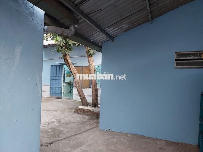 Chính chủ cho thuê phòng dạng biệt lập có sân đường Phạm Văn Thuận