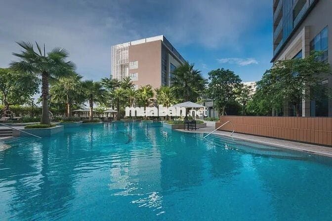 GIỎ HÀNG ĐỘC QUYỀN VINHOMES BASON 1PN, 2PN, 3PN, 4PN GIÁ TỐT T12/2025