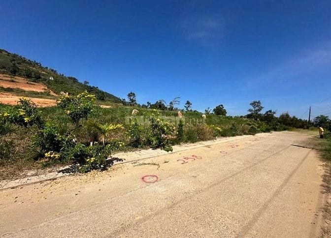 Công ty Đấu giá hợp danh Lam Sơn Sài Gòn THÔNG BÁO ĐẤU GIÁ TÀI SẢN