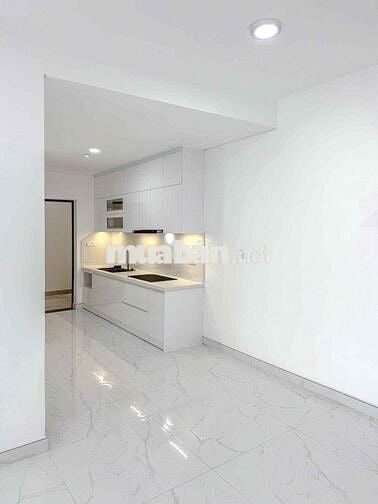 Chuyên cho thuê căn hộ Diamond Alnata