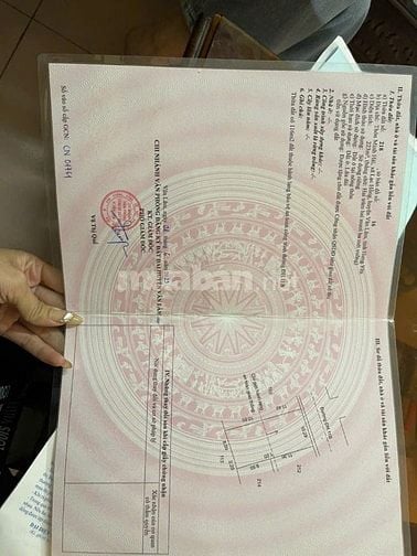 Hàng F0 trục kinh doanh mới tại Lạc Hồng diện tích 80m. Lh 0362554684