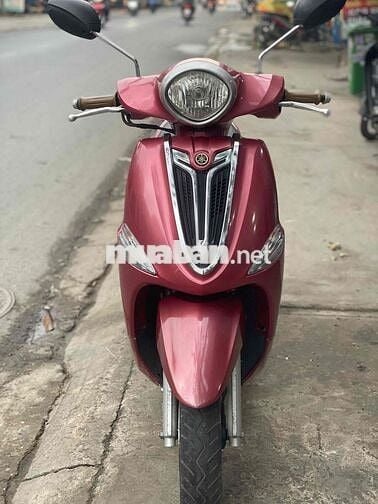 BÁN XE NOZZA FI. SƠN ZIN MÁY ZIN. BS 61