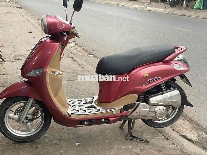 BÁN XE NOZZA FI. SƠN ZIN MÁY ZIN. BS 61