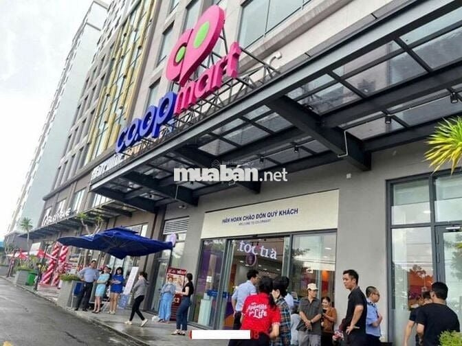 Bán căn hộ 3 phòng ngủ quận 8 green river, đã có sổ hồng, vay Nh 70%