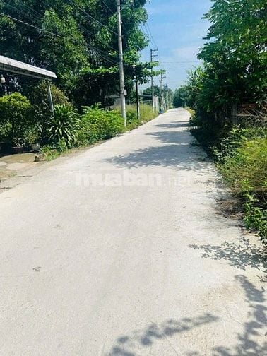 Nhà vườn gần sông Nhơn Trạch, giá rẻ ,MT đường oto.SR chính chủ.GỌI