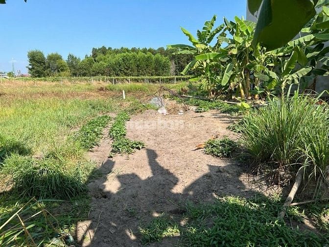 Nhà vườn gần sông Nhơn Trạch, giá rẻ ,MT đường oto.SR chính chủ.GỌI