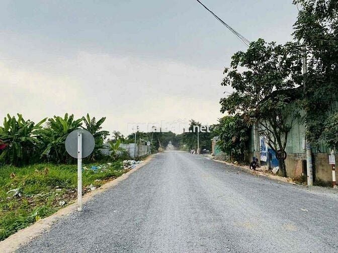 Đất Mặt tiền Sông Sài Gòn( đang làm đường nhựa 8m)