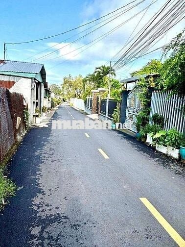 Đất 1/Cây Trôm Mỹ Khánh - full thổ cư - nở hậu - Thái Mỹ. Giá 1 tỷ 550