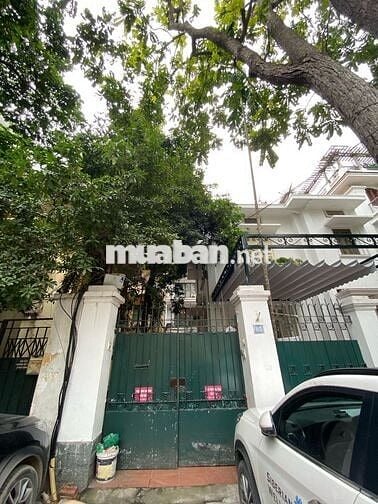 Nguyên căn 5 tầng - 45m2 3PN trong khu biệt thự Trần Quốc Toản, Hà Nội