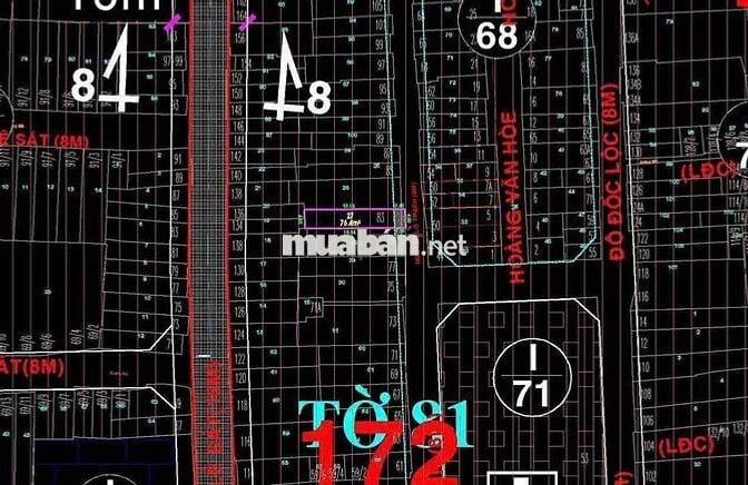 Nhà mặt tiền Nguyễn Lộ Trạch Tân Phú 88m2 ( 4m x 22m)