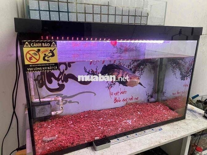 Nhà mặt tiền Nguyễn Lộ Trạch Tân Phú 88m2 ( 4m x 22m)