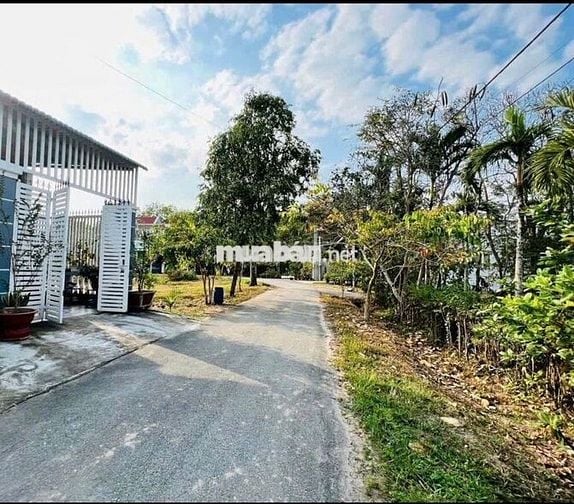 CHỈ 680TR SỞ HỮU NGAY LÔ ĐẤT 110M2 CỦ CHI - SHR