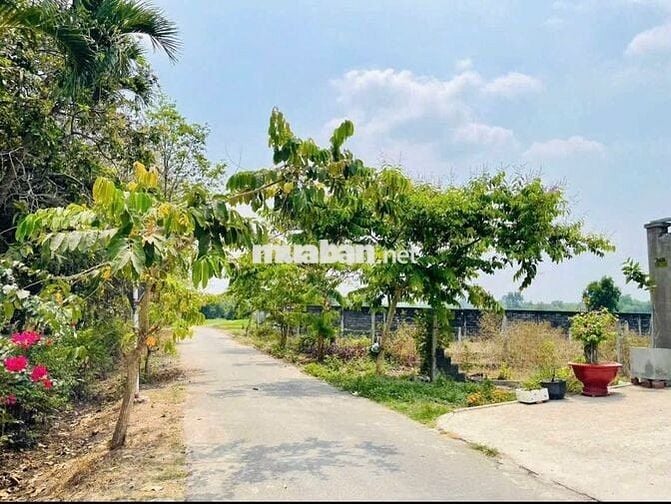 CHỈ 680TR SỞ HỮU NGAY LÔ ĐẤT 110M2 CỦ CHI - SHR