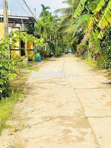 Đất Nền 196m² Trung Tâm Đại Hiệp – Giá Chỉ 9xx Triệu, Sổ Sẵn – Không N