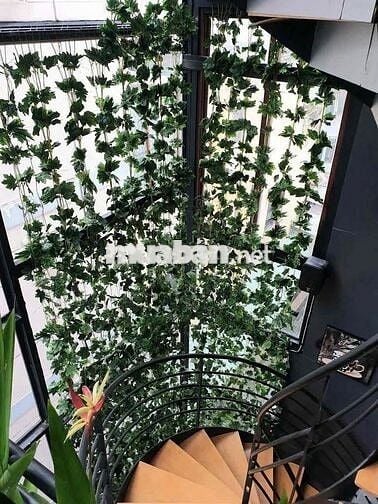 [8mx6m] GÓC 2MT HOA SỮA -TRUNG TÂM KHU ĐƯỜNG HOA PHÚ NHUẬN-CHO THUÊ !