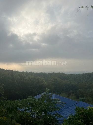 Sở hữu ngay đất đẹp gần Hồ Trị An – Giá chỉ từ 733 triệu