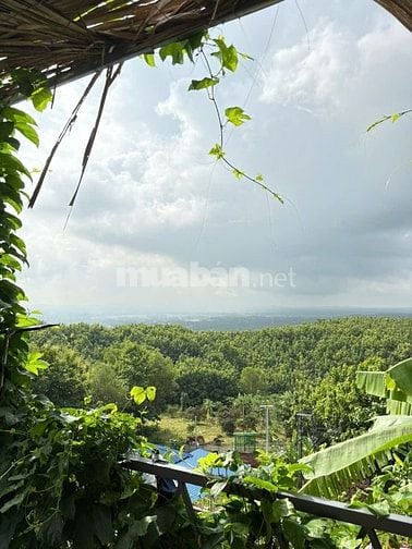 Sở hữu ngay đất đẹp gần Hồ Trị An – Giá chỉ từ 733 triệu