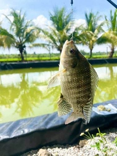 Sở hữu ngay đất đẹp gần Hồ Trị An – Giá chỉ từ 733 triệu